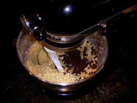 chocolate chip1 chocolate chip1