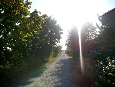 DSCN1258