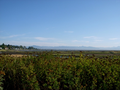 DSCN1263